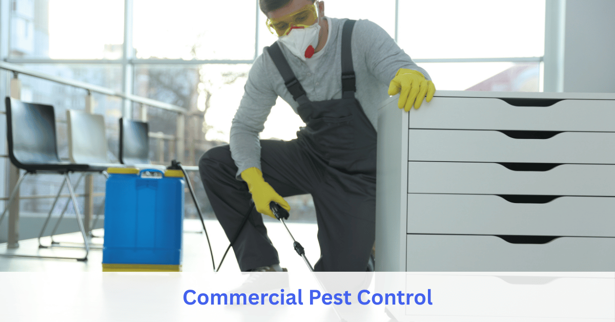 Commercial Pest Control service