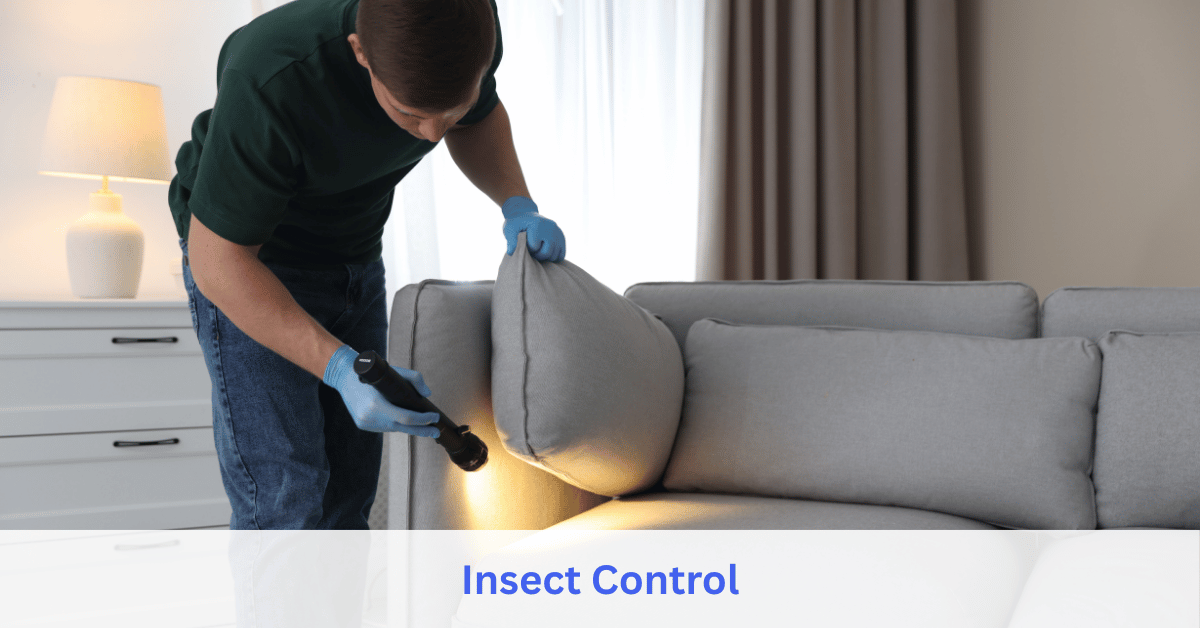 Insect Control service
