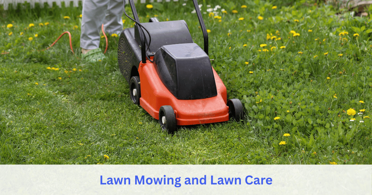 Lawn Mowing and Lawn Care service