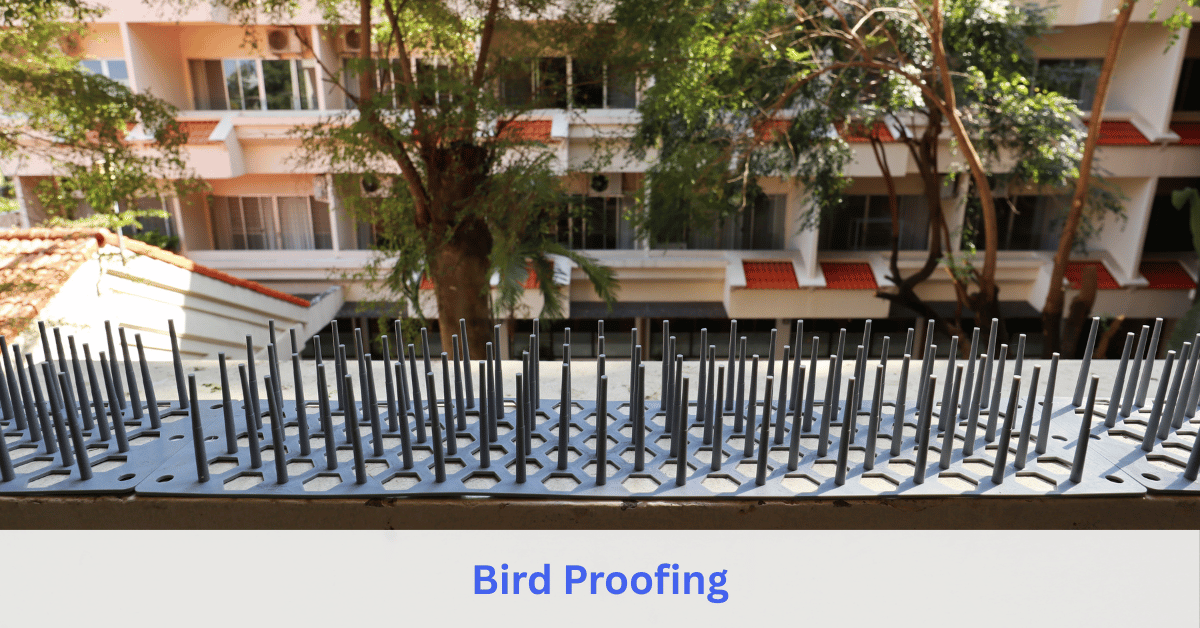 Bird Proofing service