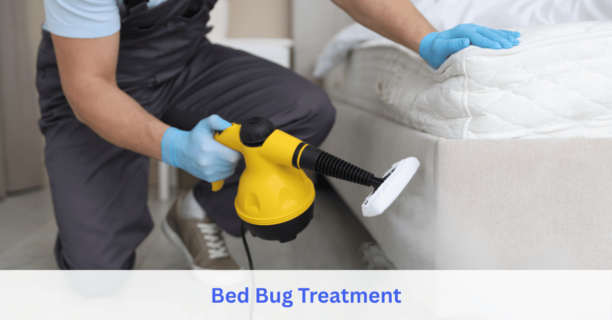 Bed Bug Treatment service