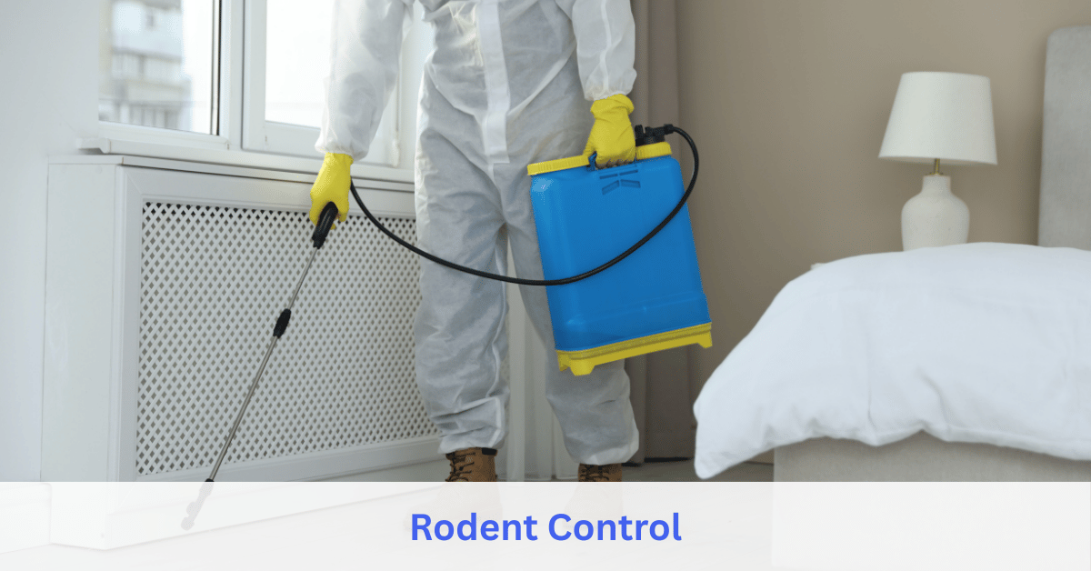 Rodent Control service